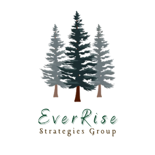 everrisestrategiesgroup.com